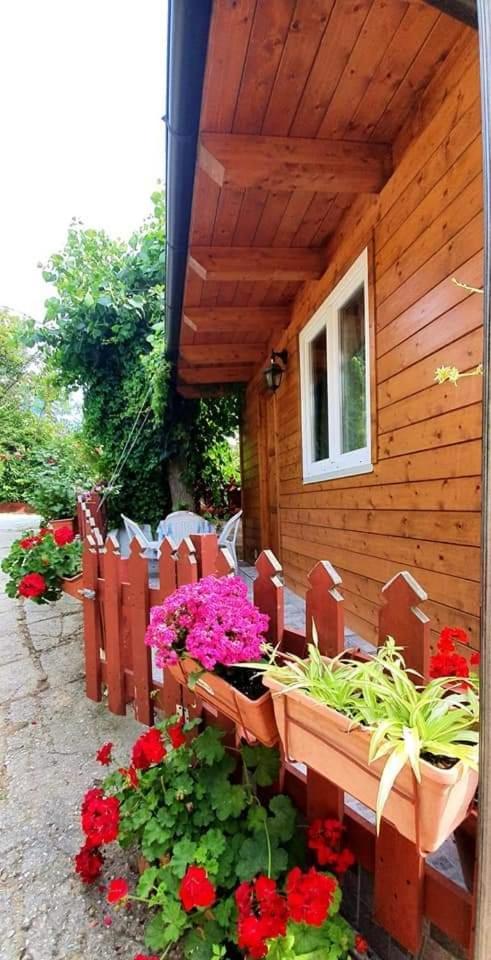 Camping Onda Azzurra Hotel Ortona Exterior foto